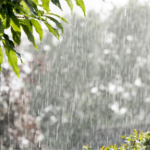 Maranhão continua com alerta laranja de chuvas neste domingo (19), diz Inmet