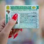 Entenda como funciona a renovação automática da CNH