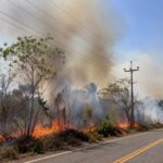 Equatorial Maranhão e o Movimento VC+ Seguro alertam: queimadas colocam vidas em risco e provocaram 233 ocorrências na rede elétrica no estado em 2026