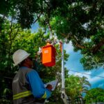 Poda de árvores exige cuidados para evitar acidentes com a rede elétrica