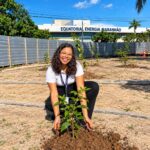 No Dia da Árvore, Equatorial Maranhão destaca iniciativas que contribuem para a preservação ambiental